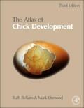 Bellairs / Osmond |  Atlas of Chick Development | Buch |  Sack Fachmedien