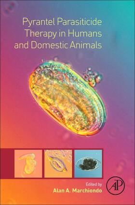 Marchiondo | Pyrantel Parasiticide Therapy in Humans and Domestic Animals | Buch | sack.de