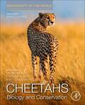 Nyhus / Marker / Boast |  Cheetahs: Biology and Conservation: Biodiversity of the World: Conservation from Genes to Landscapes | Buch |  Sack Fachmedien