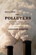 Ovodenko |  Regulating the Polluters: Markets and Strategies for Protecting the Global Environment | Buch |  Sack Fachmedien