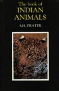 Prater |  The Book of Indian Animals | Buch |  Sack Fachmedien