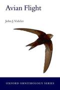 Videler |  Avian Flight | Buch |  Sack Fachmedien