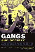 Kontos / Brotherton / Barrios |  Gangs and Society | eBook | Sack Fachmedien