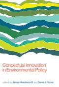 Meadowcroft / Fiorino |  Conceptual Innovation in Environmental Policy | Buch |  Sack Fachmedien