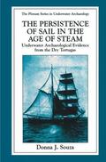 Souza |  The Persistence of Sail in the Age of Steam | Buch |  Sack Fachmedien