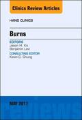 Ko / Levi |  Burns, an Issue of Hand Clinics: Volume 33-2 | Buch |  Sack Fachmedien