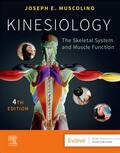 Muscolino |  Kinesiology | Buch |  Sack Fachmedien