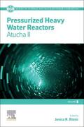 Riznic |  Pressurized Heavy Water Reactors | Buch |  Sack Fachmedien