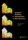 Navarro / Playan |  Numerical Modelling of Hydrodynamics for Water Resources | Buch |  Sack Fachmedien