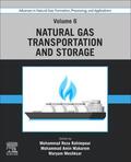 Rahimpour / Makarem / Meshksar |  Advances in Natural Gas: Formation, Processing, and Applications. Volume 6: Natural Gas Transportation and Storage | Buch |  Sack Fachmedien