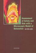 Leiber |  Assessment of Safety and Risk with a Microscopic Model of Detonation | Buch |  Sack Fachmedien