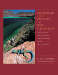 Grismer |  Amphibians & Reptiles of Baja California, its Pacific Islands & the Islands in the Sea of Cortes | Buch |  Sack Fachmedien