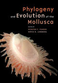 Ponder / Lindberg |  Phylogeny and Evolution of the Mollusca | Buch |  Sack Fachmedien