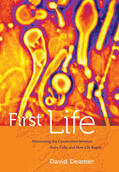 Deamer |  First Life | Buch |  Sack Fachmedien