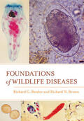 Botzler / Brown |  Foundations of Wildlife Diseases | Buch |  Sack Fachmedien
