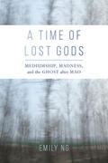 Ng |  A Time of Lost Gods | Buch |  Sack Fachmedien
