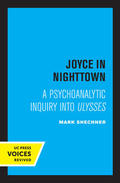 Shechner |  Joyce in Nighttown | Buch |  Sack Fachmedien