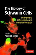 Armati |  The Biology of Schwann Cells: Development, Differentiation and Immunomodulation | Buch |  Sack Fachmedien