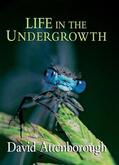 Attenborough |  Life in the Undergrowth | Buch |  Sack Fachmedien