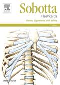 Bräuer / Paulsen / Waschke |  Sobotta Flashcards Bones, Ligaments, and Joints | Buch |  Sack Fachmedien