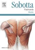 Bräuer / Paulsen / Waschke |  Sobotta Flashcards Muscles | Sonstiges |  Sack Fachmedien
