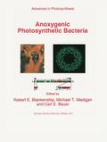Blankenship / Madigan / Bauer |  Anoxygenic Photosynthetic Bacteria | Buch |  Sack Fachmedien