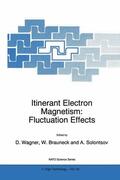 Wagner / Solontsov / Brauneck |  Itinerant Electron Magnetism: Fluctuation Effects | Buch |  Sack Fachmedien