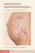 Olutoye |  Anesthesia for Maternal-Fetal Surgery | Buch |  Sack Fachmedien
