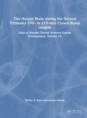 Bayer / Altman |  The Human Brain during the Second Trimester 190- to 210-mm Crown-Rump Lengths | Buch |  Sack Fachmedien