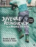 Bates / Swan |  Juvenile Delinquency in a Diverse Society | eBook | Sack Fachmedien