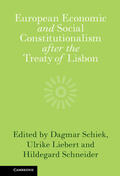 Schiek / Liebert / Schneider |  European Economic and Social Constitutionalism After the Treaty of Lisbon | Buch |  Sack Fachmedien