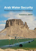 Amery |  Arab Water and Food Security | Buch |  Sack Fachmedien