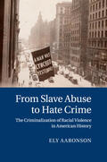 Aaronson |  From Slave Abuse to Hate Crime | Buch |  Sack Fachmedien