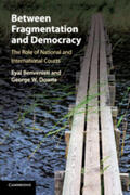 Benvenisti / Downs |  Between Fragmentation and Democracy: The Role of National and International Courts | Buch |  Sack Fachmedien