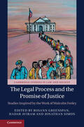 Aviram / Greenspan / Simon |  The Legal Process and the Promise of Justice | Buch |  Sack Fachmedien