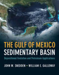 Snedden / Galloway |  The Gulf of Mexico Sedimentary Basin | Buch |  Sack Fachmedien