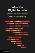 Werbach |  After the Digital Tornado | Buch |  Sack Fachmedien