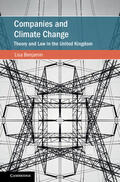 Benjamin |  Companies and Climate Change | Buch |  Sack Fachmedien