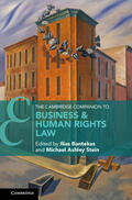 Bantekas / Stein |  The Cambridge Companion to Business & Human Rights Law | Buch |  Sack Fachmedien