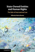 Barnes |  State-Owned Entities and Human Rights | Buch |  Sack Fachmedien
