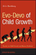 Hochberg |  Evo-Devo of Child Growth: Treatise on Child Growth and Human Evolution | Buch |  Sack Fachmedien