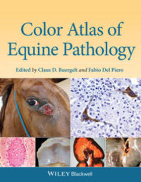 Color Atlas of Equine Pathology | BLACKWELL PUBL | Datenbank | sack.de