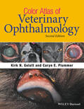 Gelatt / Plummer |  Color Atlas of Veterinary Ophthalmology | Buch |  Sack Fachmedien