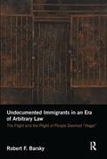 Barsky |  Undocumented Immigrants in an Era of Arbitrary Law | Buch |  Sack Fachmedien