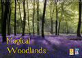 Jones |  Magical Woodlands (Wall Calendar 2023 DIN A3 Landscape) | Sonstiges |  Sack Fachmedien