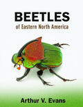 Evans |  Beetles of Eastern North America | eBook | Sack Fachmedien