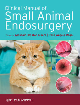 Hotston Moore / Ragni | Clinical Manual of Small Animal Endosurgery | Buch | sack.de
