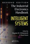 Wilamowski / Irwin |  Intelligent Systems | Buch |  Sack Fachmedien