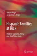 Angel |  Hispanic Families at Risk: The New Economy, Work, and the Welfare State | Buch |  Sack Fachmedien