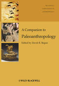 Begun |  A Companion to Paleoanthropology | Buch |  Sack Fachmedien